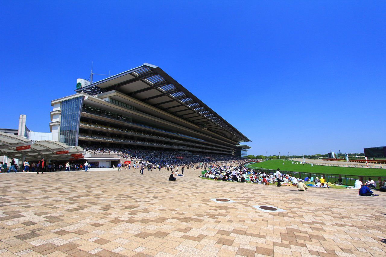 【2026年最新】府中市職員採用試験情報｜募集職種・試験日程・応募方法まとめ